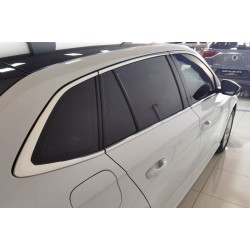 Полная окантовка окон (10 шт, нерж) для Skoda Scala