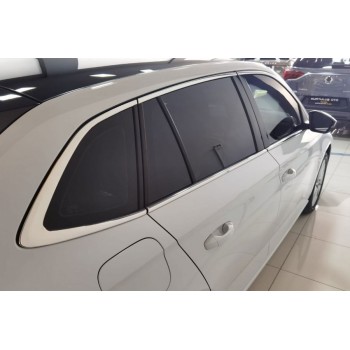 Полная окантовка окон (10 шт, нерж) для Skoda Scala