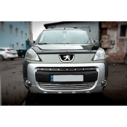 Накладки на решетку (2 част., нерж.) OmsaLine - Итальянская нержавейка для Peugeot Partner Tepee 2008-2018 гг