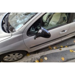 Накладки на дзеркала BMW-Style (2 шт) для Peugeot 207