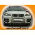 Кенгурятник WT003 (нерж.) 50мм для BMW X6 E-71 2008-2014 гг