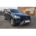 Кенгурятник WT003 (нерж.) для Mercedes GLE/ML сlass W166 2011-2018 рр