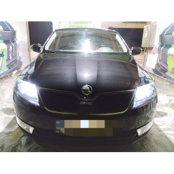 Зимова решітка (верхня) Глянцева для Skoda Rapid 2012-2019 рр