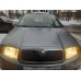 Зимова накладка на решітку Глянсова для Skoda Fabia 2000-2007 рр