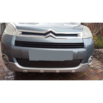 Зимняя решетка (2008-2012) Глянцевая для Citroen Berlingo