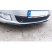 Зимова накладка на решітку (2011-2014, нижня) Глянцева для Skoda Roomster рр