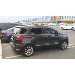 Молдинг дверей (4 шт,нерж) для Ford Ecosport