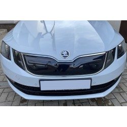 Зимняя решетка (2017-2020) Матовая для Skoda Octavia III A7