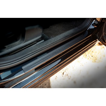 Накладки на пороги DDU (4 шт, пластик) для Volkswagen Passat B7 2012-2015 гг
