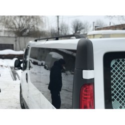 Рейлинги Черные Короткая, Чугунные ножки для Opel Vivaro 2001-2015 гг