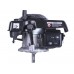 Двигун 1P65F (з вертикальним валом) (5.5 к.с.) TT AGRO MOTO