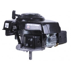 Двигун 1P65F (з вертикальним валом) (5.5 к.с.) TT AGRO MOTO