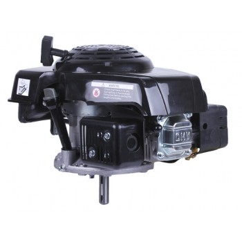 Двигун 1P65F (з вертикальним валом) (5.5 к.с.) TT AGRO MOTO