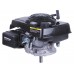 Двигун 1P65F (з вертикальним валом) (5.5 к.с.) TT AGRO MOTO