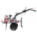 Мотоблок TT-ZX100 TATA (редуктор), колесо 3,5*6, двигатель 170F (7 л.с.)