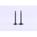 Клапаны (Premium) TATA для бензинового двигателя 177F, к-т: 2 шт