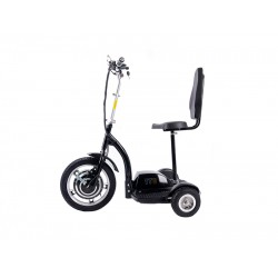Электросамокат с сиденьем (сиденье - спинка) TTG T06-1 36V350W 12AH - SM 12AH черный