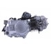 Двигатель бензиновый 125CC ТАТА на мопеды Дельта/Альфа/Актив, механика, электростартер, без карбюратора (тип 2)