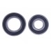 Подшипники сцепления 6006RS и 6204RS ТАТА на MFC, к-т: 2 шт.