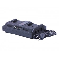 Двойное зарядное устройство TTG, 21V