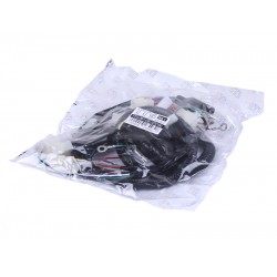 Проводка центральная TTG для двигателя CB125/150