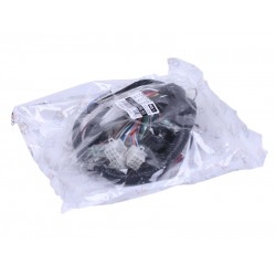 Проводка центральная TTG для двигателя 50CC 4T