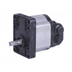 Насос шестерний ГУР HLCB-D 06-06 Jinma 404